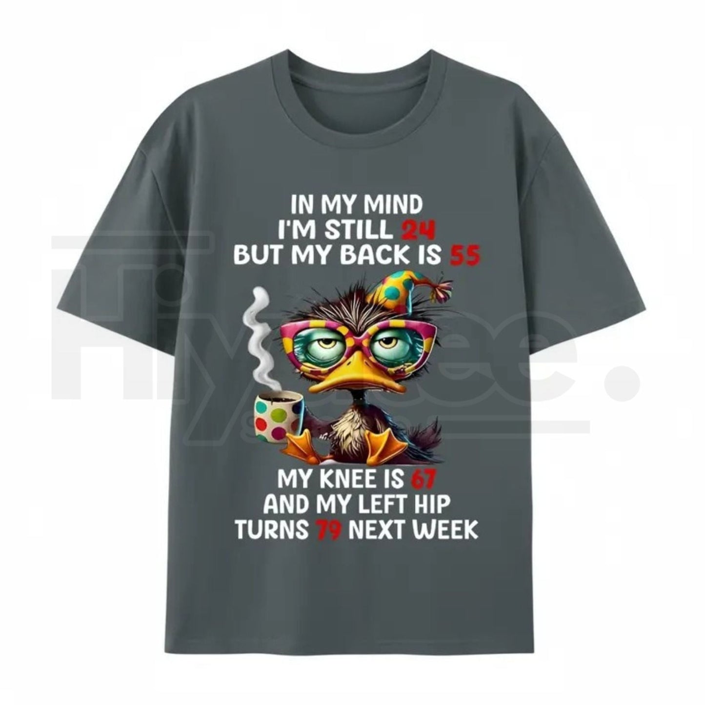 Funny Aging Humor Graphic Tee – “In My Mind I’m Still 24” Duck Back Pain Top